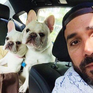 Meet your Posher, Gil